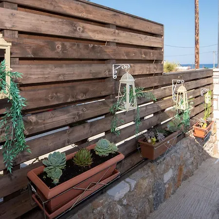 Searock Stegna فيلة