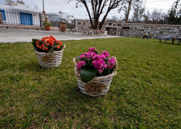 Villa Searock Stegna *